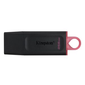 Kingston Pendrive Datatraveler Dtx/256gb Practico 3.2 Gen 1®